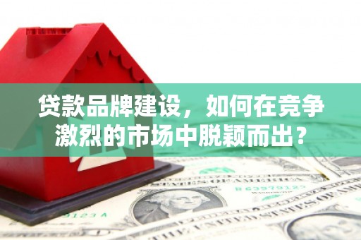 新泰贷款品牌建设，如何在竞争激烈的市场中脱颖而出？