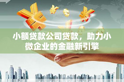 新泰小额贷款公司贷款，助力小微企业的金融新引擎