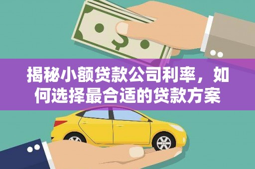 新泰揭秘小额贷款公司利率，如何选择最合适的贷款方案