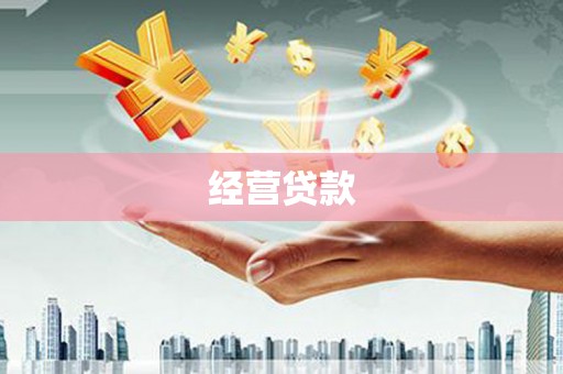 新泰经营贷款