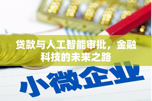 新泰贷款与人工智能审批，金融科技的未来之路