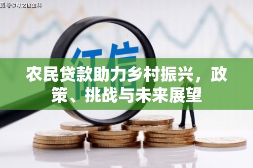 新泰农民贷款助力乡村振兴，政策、挑战与未来展望