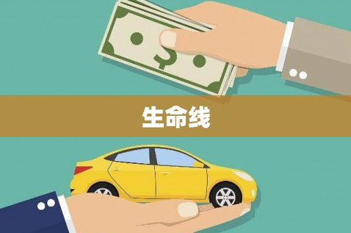 新泰生命线