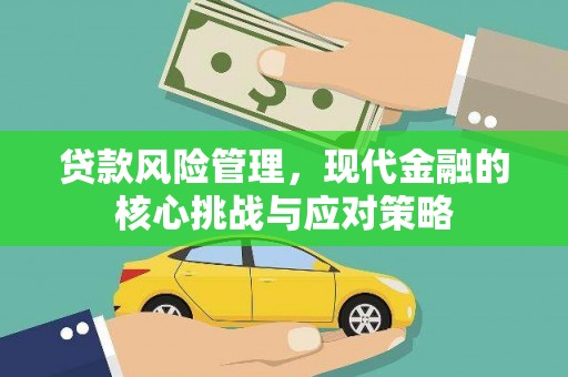 新泰贷款风险管理，现代金融的核心挑战与应对策略