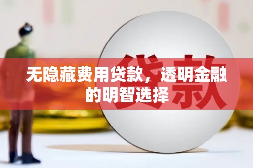 新泰无隐藏费用贷款，透明金融的明智选择