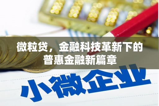 新泰微粒贷，金融科技革新下的普惠金融新篇章
