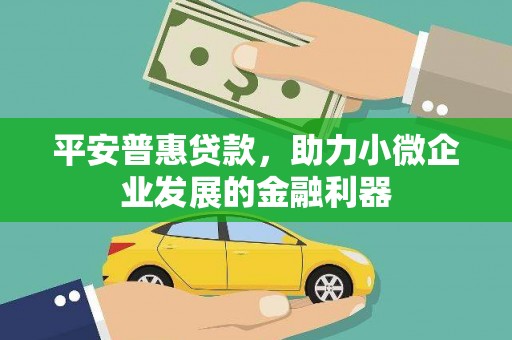新泰平安普惠贷款，助力小微企业发展的金融利器