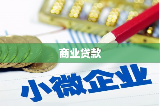 新泰商业贷款