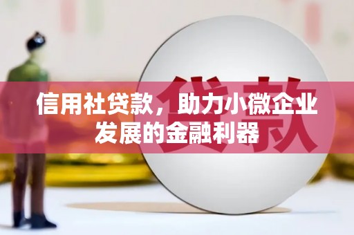 新泰信用社贷款，助力小微企业发展的金融利器