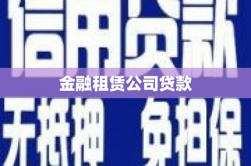 新泰金融租赁公司贷款