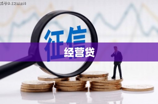 新泰经营贷
