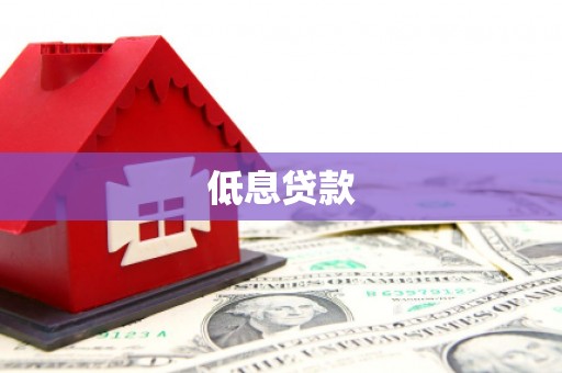 新泰低息贷款