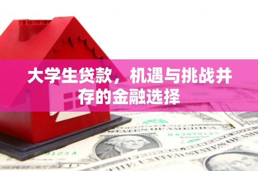 新泰大学生贷款，机遇与挑战并存的金融选择