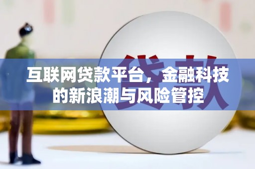 新泰互联网贷款平台，金融科技的新浪潮与风险管控