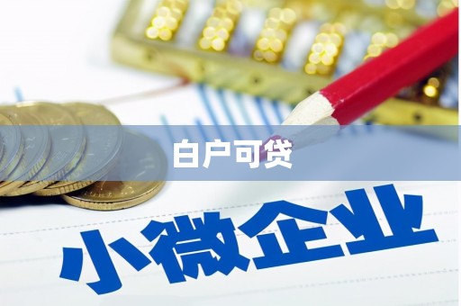 新泰白户可贷