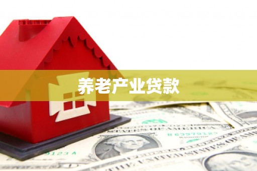新泰养老产业贷款