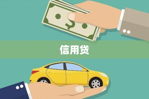 新泰信用贷