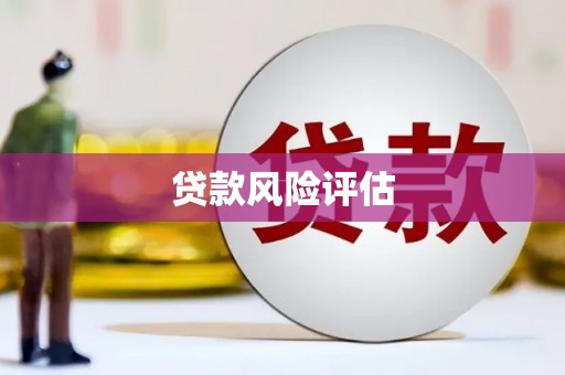 新泰贷款风险评估