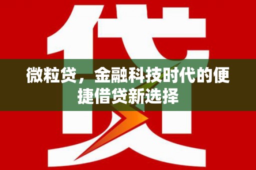 新泰微粒贷，金融科技时代的便捷借贷新选择