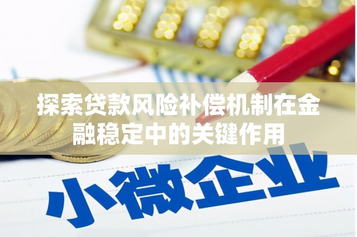 新泰探索贷款风险补偿机制在金融稳定中的关键作用