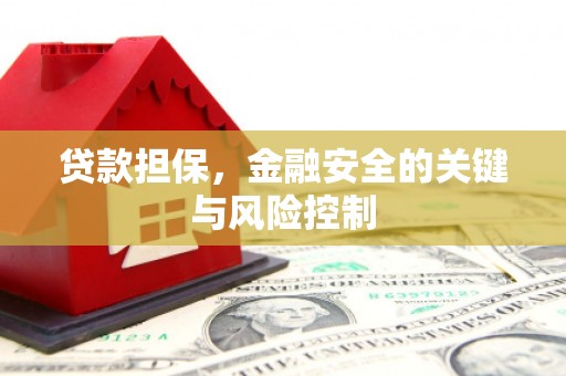 新泰贷款担保，金融安全的关键与风险控制