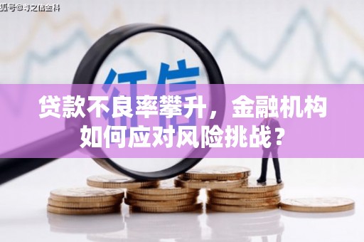 新泰贷款不良率攀升，金融机构如何应对风险挑战？