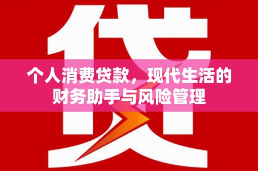 新泰个人消费贷款，现代生活的财务助手与风险管理