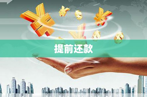 新泰提前还款