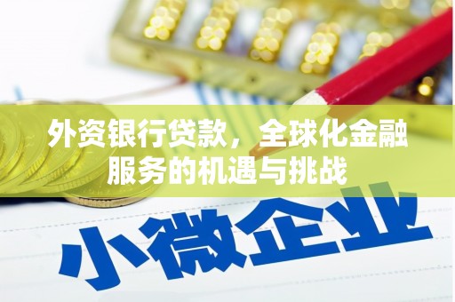 新泰外资银行贷款，全球化金融服务的机遇与挑战