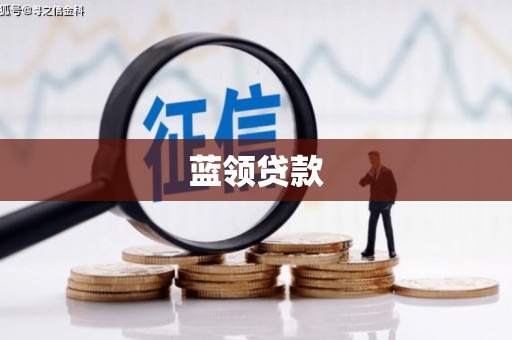 新泰蓝领贷款