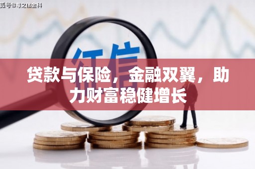 新泰贷款与保险，金融双翼，助力财富稳健增长