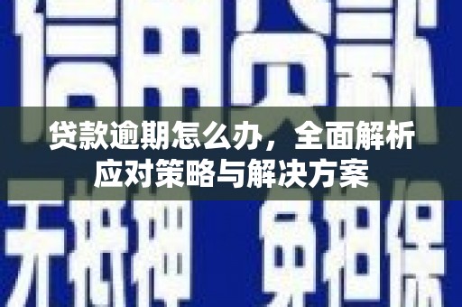 新泰贷款逾期怎么办，全面解析应对策略与解决方案