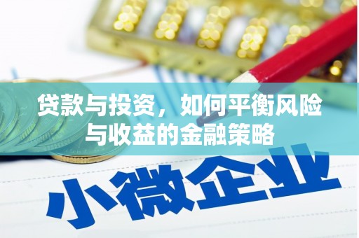 新泰贷款与投资，如何平衡风险与收益的金融策略