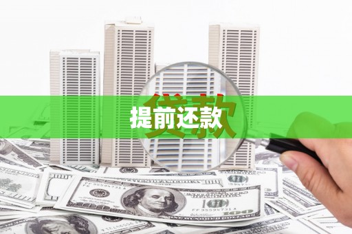 新泰提前还款