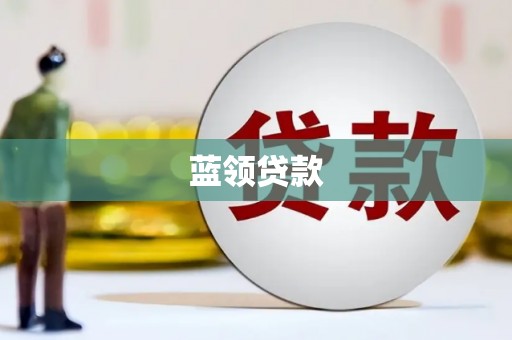 新泰蓝领贷款
