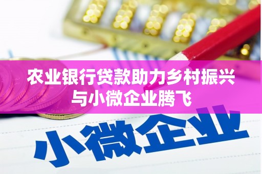 新泰农业银行贷款助力乡村振兴与小微企业腾飞