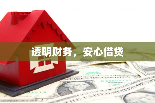 新泰透明财务，安心借贷