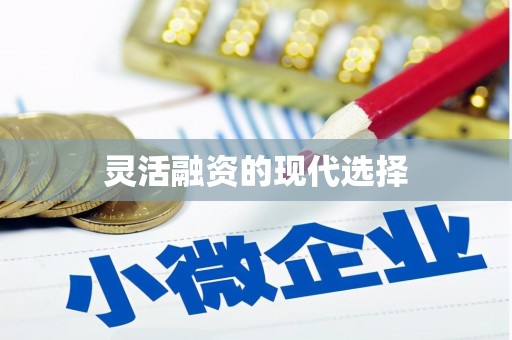 新泰灵活融资的现代选择