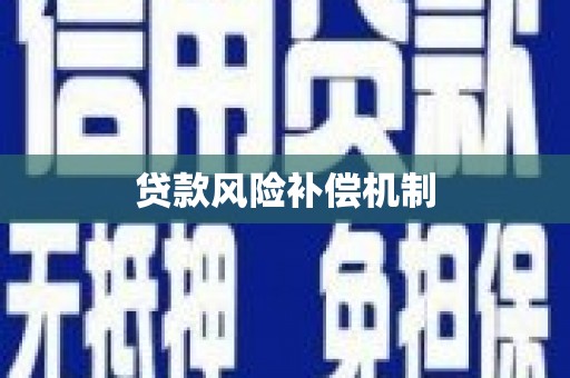 新泰贷款风险补偿机制