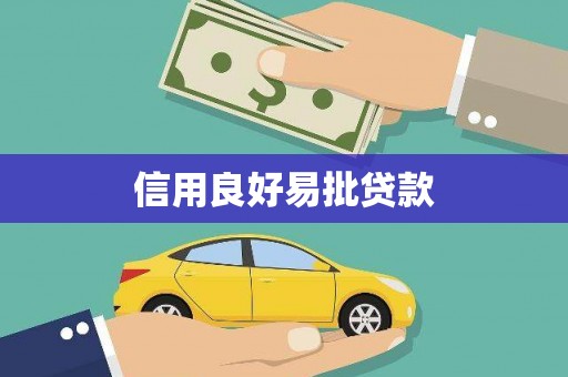 新泰信用良好易批贷款