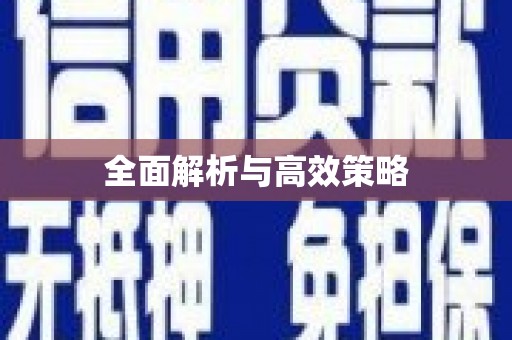 新泰全面解析与高效策略