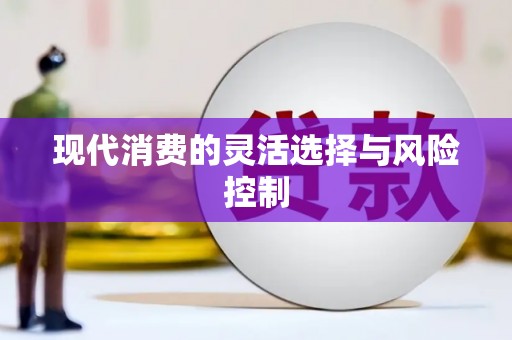 新泰现代消费的灵活选择与风险控制