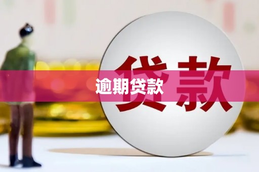 新泰逾期贷款