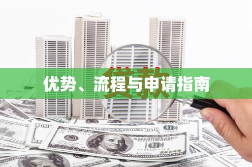 新泰优势、流程与申请指南