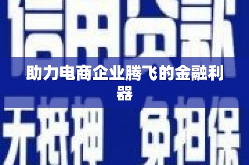 新泰助力电商企业腾飞的金融利器