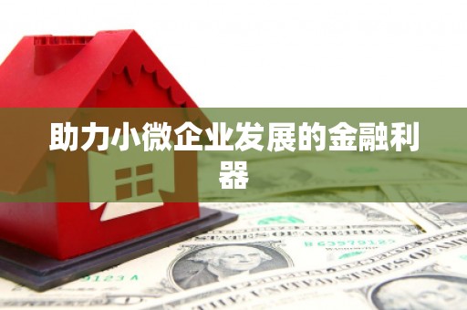 新泰助力小微企业发展的金融利器