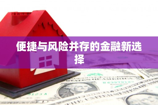 新泰便捷与风险并存的金融新选择