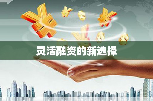 新泰灵活融资的新选择