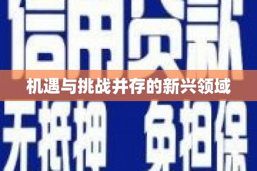 新泰机遇与挑战并存的新兴领域