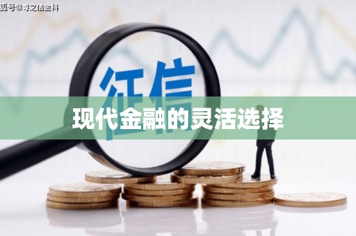 新泰现代金融的灵活选择